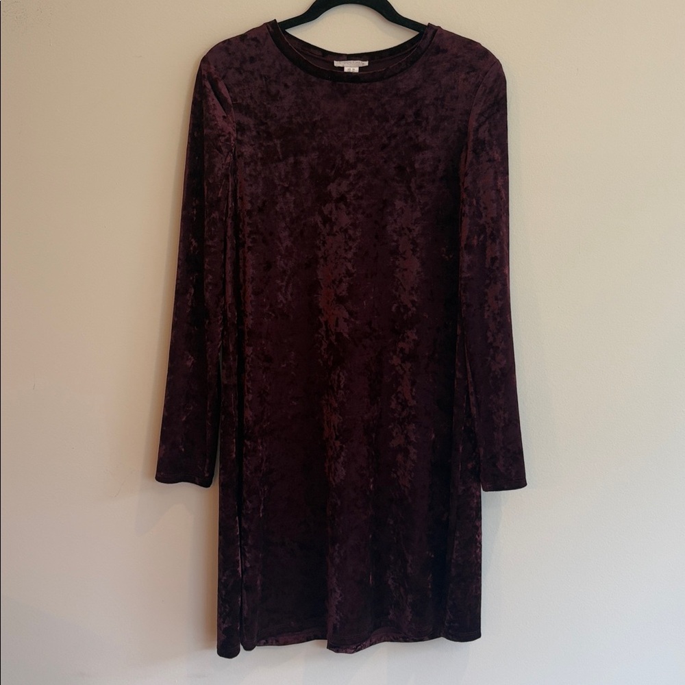 London Times Maroon Crushed‎ Velvet long sleeve A line Dress Fall sz 10